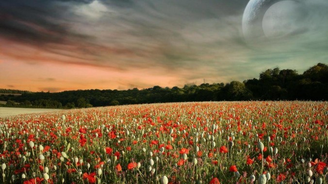 花小小新疆炒米粉酱料被曝含有猪肉,目前品牌已致歉,如何看待这件事?